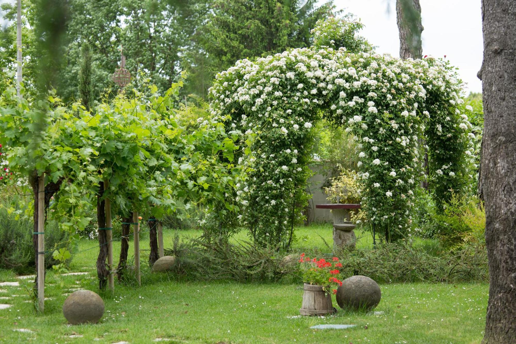 Ca'Bevilacqua Bed&Breakfast Bertinoro Extérieur photo